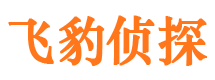 顺河侦探公司